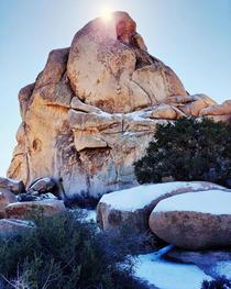 Intersection Rock in the snow Joshua Tree National Park CA 