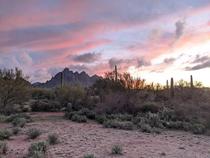 Ironwood National Monument Arizona at dusk 