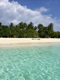 Island in the Vaavu atoll Maldives 