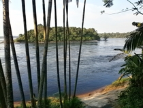 Island on the Rio Negro Brazilian Amazon 