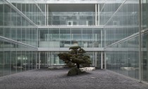 Isolated Nature - Novartis Campus by SANAA - Kazuyo Sejima and Ryue Nishizawa 