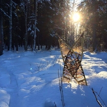 ITAP of my snowshoes while having a break from my stroll in the woods a few years ago