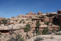 Its easy to get lost in the wilderness of the Needles District Canyonlands  OC