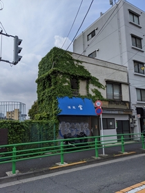 ivy slowly devours this abandoned shop Tokyo