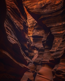 Jagged rock walls in Mountain Sheep Canyon Arizona 