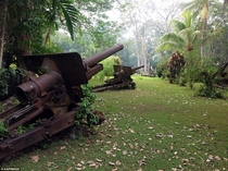 Japanese howitzers on Guadalcanal 