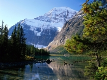 Jasper National Park in Alberta Canada by Christopher Bollyn 