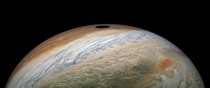 Jupiter and the shadow of Io as seen by Juno on Perijove 