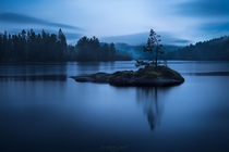 Just a singular tree on a little island with a whole range of blues during a rainy blue hour Risr Norway 