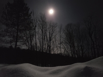 Just a snowdrift under a full moon