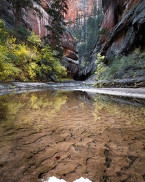 Just before the iconic Subway rests a majestic reflection pool that remains crystal clear with a gentle flow Zion National Park UT 