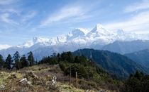 Just got back from trekking in the Himalayas Annapurna South the mountains almost look like they were photoshopped in 