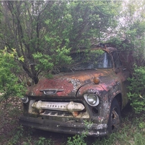 Just one of the many beautiful abandoned vehicles on an old West Michigan farm