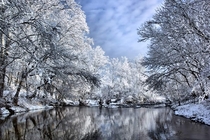 Kentucky Winter Wonderland 