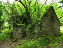Kerry Way walking path between Sneem and Kenmare in Ireland album of more AbandonedPorn in comments 