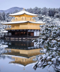 Kinkaku-ji Golden Pavilion Kyoto by Wasabitool 