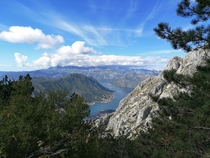 Kotor Montenegro View from Lovcen national park  x
