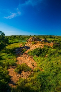 Kruger National Park South Africa 