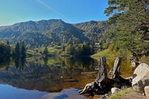 Lac des Truites Trout Lake - Vosges Mountains - France 