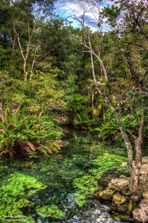 Lagoon In The Mayan Jungle 