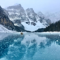 Lake Moraine - Banff National Park Canada 