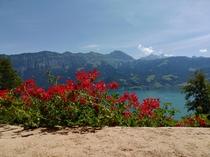 Lake Thun Interlaken Switzerland 