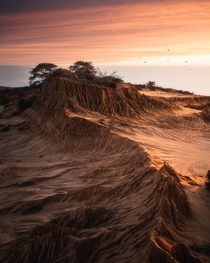 Last light at Torrey Pines State Reserve  San Diego CA 