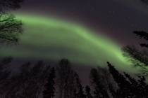 Last night - March   -  pm Sky over Fairbanks Alaska  lwpetersen