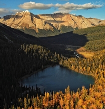 Late fall in the Canadian Rockies set the larch trees aglow in the Banff Wilderness 