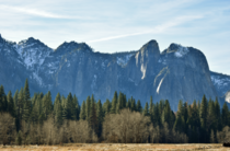 Layered Treeline Yosemite California in December  