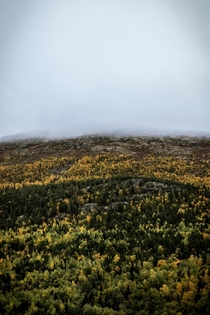 Layers of fall in Norway 