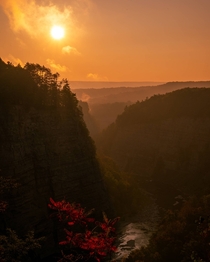 Letchworth State Park sunrise looking like Jurassic Park in the apocalypse 