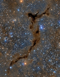 Light-years across this suggestive shape known as the Seahorse Nebula also listed as Barnard  appears in silhouette against a rich luminous background of stars some  light-years distant