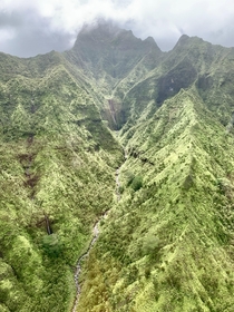 Lihue-Koloa Forest Reserve Kauai HI 