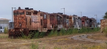 Line of stranded abandoned locomotives in Eureka CA  
