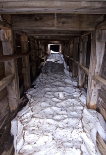 Lingering summer snow in a mine shaft at Stevens Gulch CO 