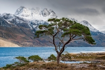 Loch Maree and the imposing Slioch Scotland  photo by Paul Byrne