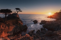 Lone cypress the most beautiful sunset during our west USA road trip 