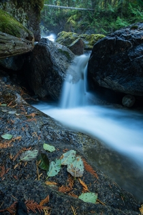 Long exposure from a little stream in Washington   More of my my work on IG  iamtheabsurdman