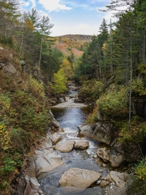 Looking down Flume Brook White Mountains New Hampshire 
