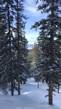 Looking down through the trees at Keystone CO 
