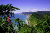 Lost Coast Wilderness and Kings Range Coastline California xpost from rSeaPorn 
