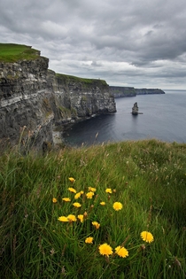 Lovely day at the edge of the world Cliffs of Moher Ireland 