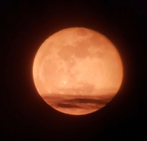 Lovely orange moon from yesterday 