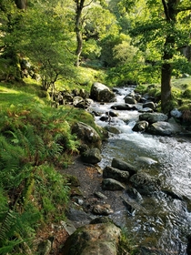 Lovely stream on our first outing in Ireland Glendalough Upper Lake Wicklow Mountains National Park OC x