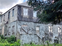 Lush greenery springing up all around an old abandoned bungalow in hurricane ravaged Caribbean Islands St Croix USVI