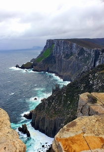 m windswept cliffs of Cape Pillar Tasmania With a plant hanging on for life 