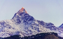 Macchapuchre mountain Pokhara 