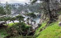 Magical Point Lobos One minute youre hiking along the open coast the next your surrounded by a pine forest 