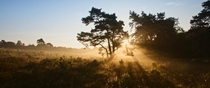 Magical Sunrise at Veluwezoom National Park The Netherlands 